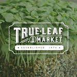 True Leaf Market logo