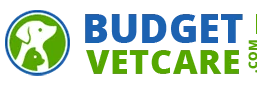 BudgetVetCare US - A Summer Full of Savings - 25% Off + Free Shipping