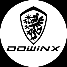 Dowinx logo