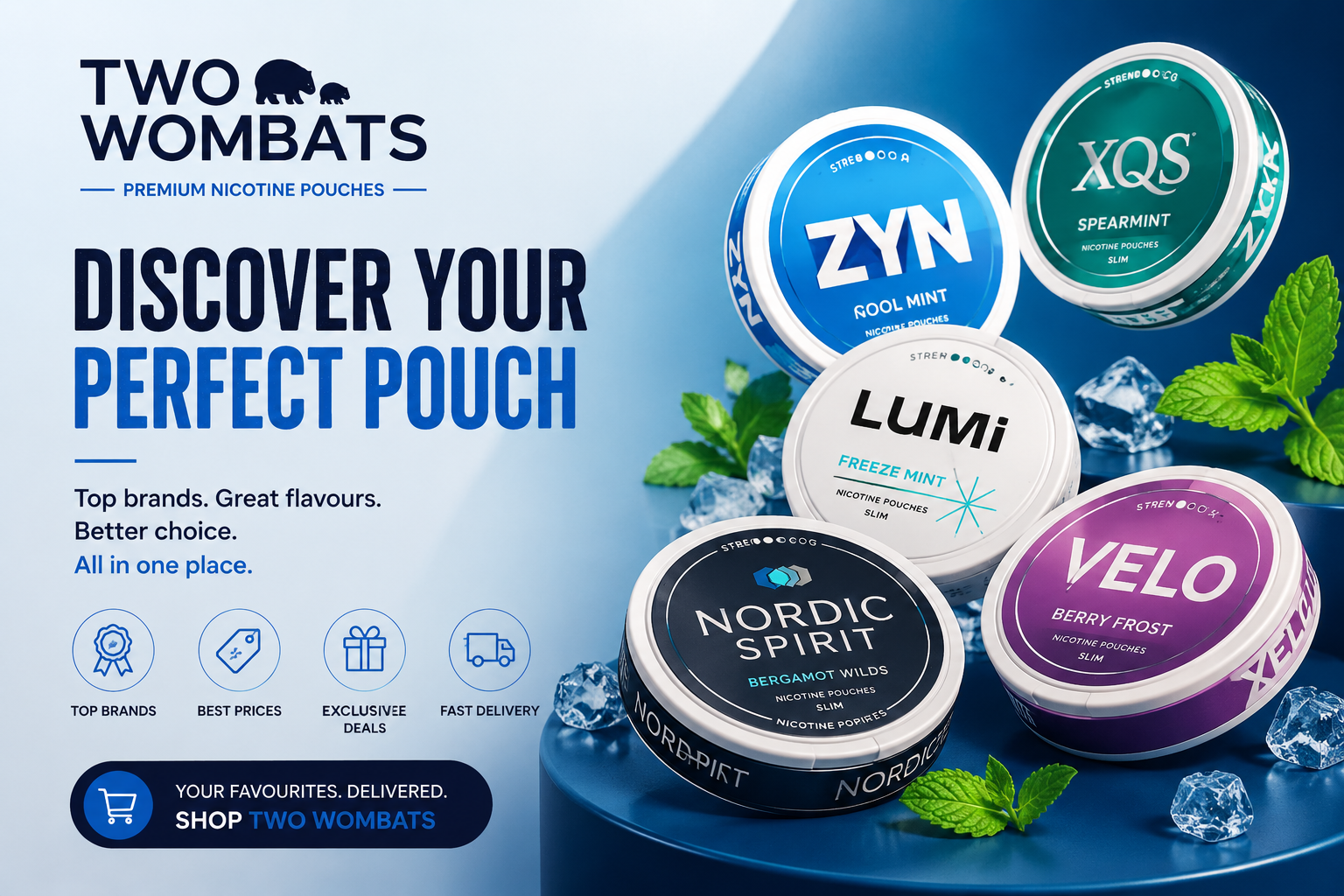 Two Wombats online store featuring tobacco-free nicotine pouches, multiple flavours and strengths, leading pouch brands, and smokeless nicotine products with fast UK delivery.