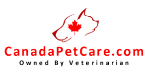 Canadapetcare - Flea and Tick Season Is Here - Get 12% Off Protection Plus $0 Shipping!